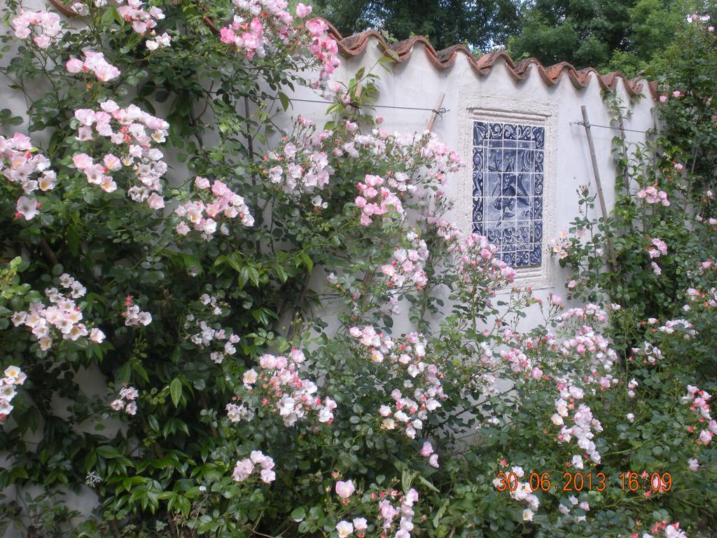 Moulin De Larcy Βίλα Ribérac Εξωτερικό φωτογραφία